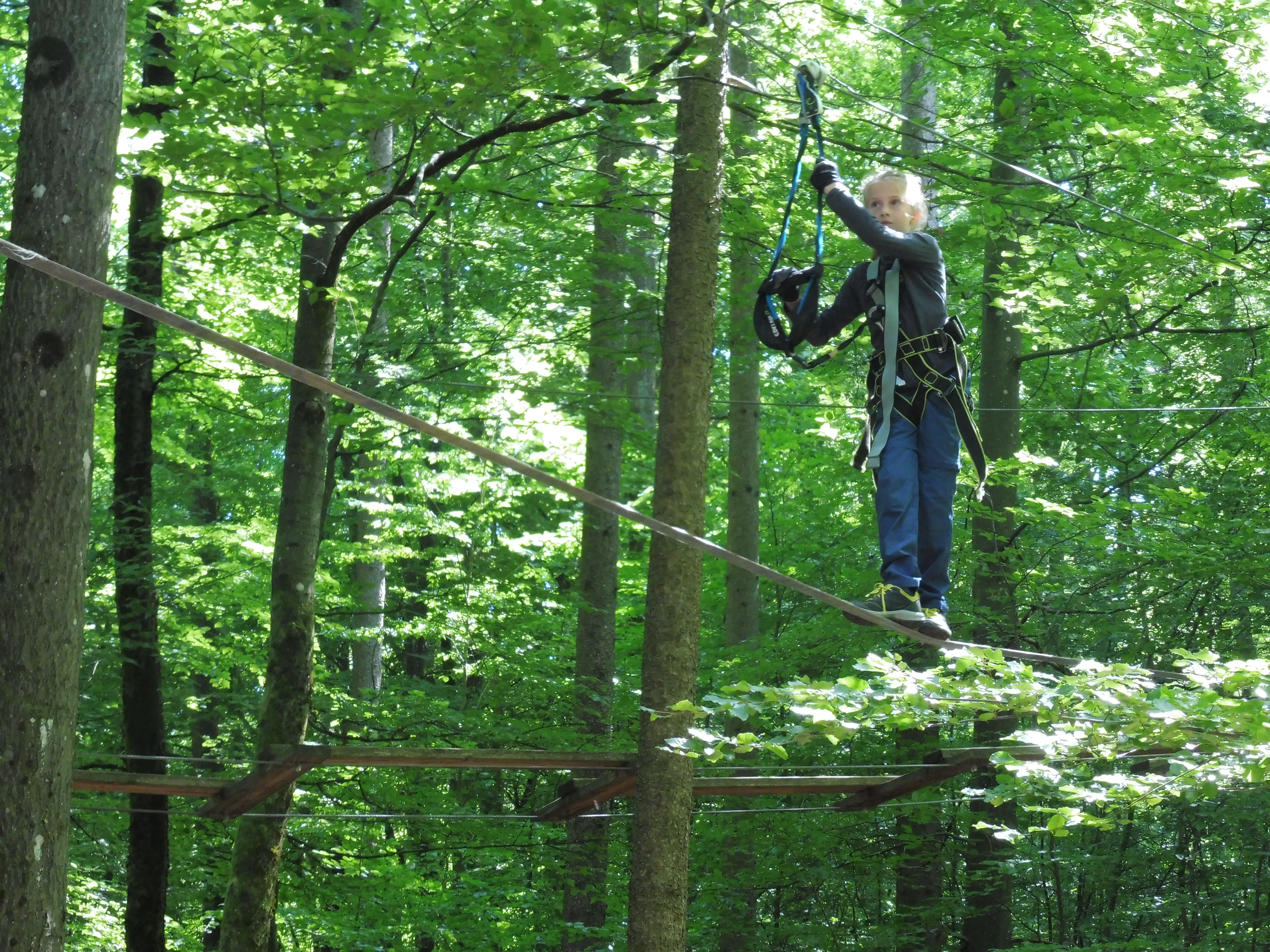 Kletterwald