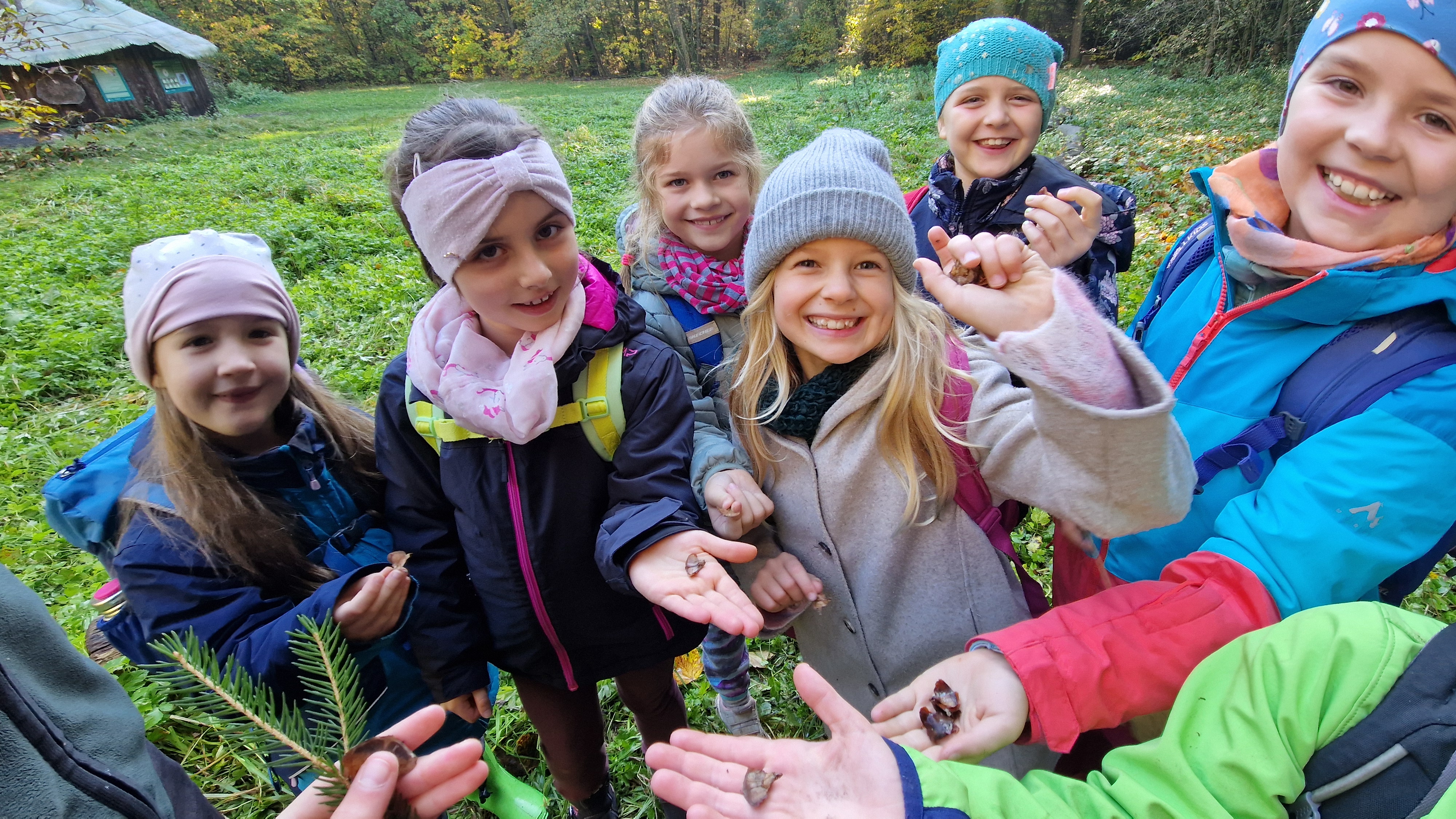 Bruderwald mit Förster Ben